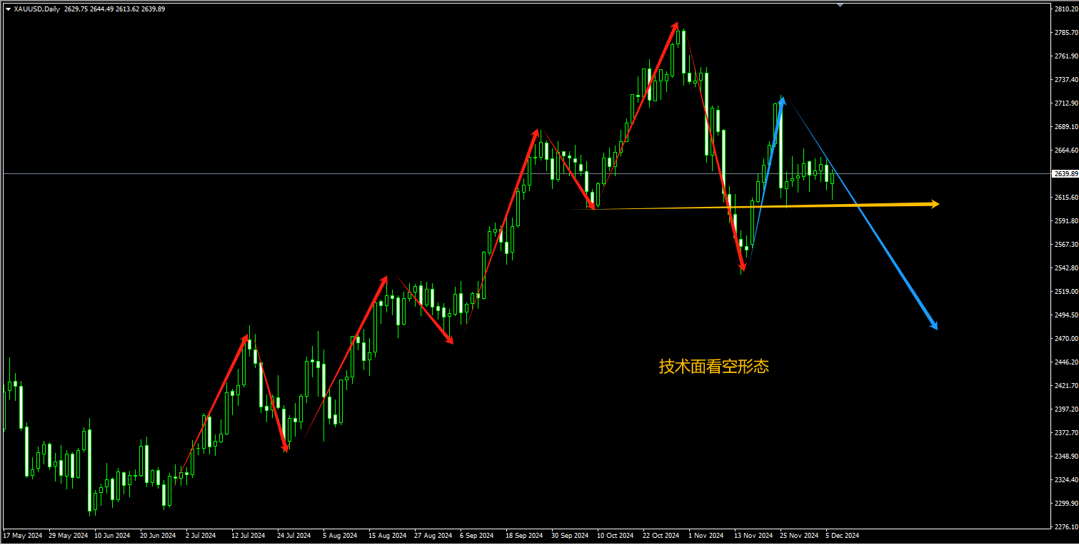 2024年12月06日:薛晓庆：你押大？还是押小？